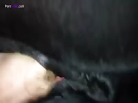 Enjoying a tasty horse anal creampie