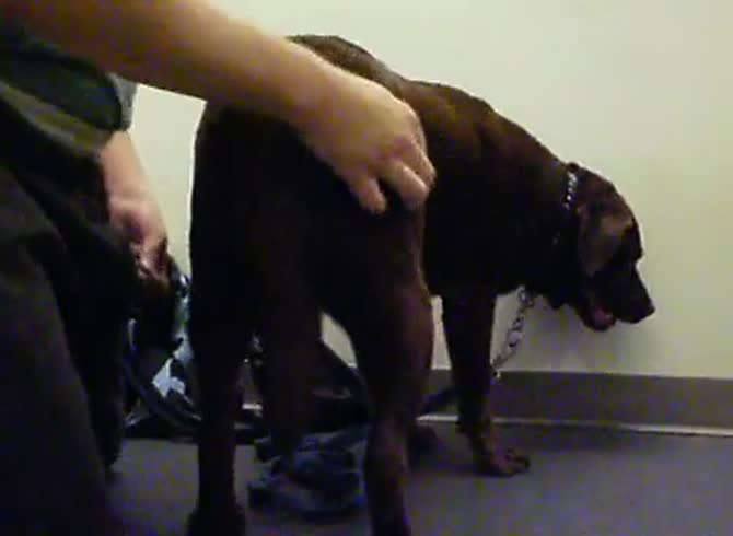 670px x 490px - Guy strips off to fuck a dog xxx - AnnaTube