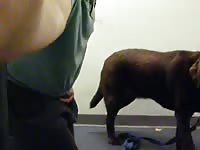 Guard strips off to fuck a k9 sex video