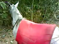 White horse got banged on a farm xxx