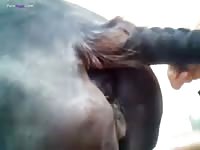 Big horse ass got smashed by beastie gal