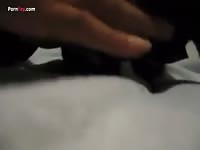 Hot dog sex in the bed