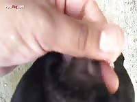 Pornbraze dog getting fingered
