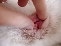 White furry dog got fingered animal porn