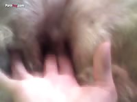 Zoopussy fingering with dog