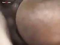 Zoophilia lover on horse porn