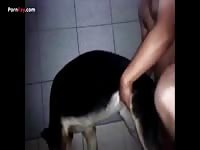 Homemade dog porn with gay