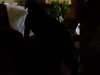 Dog porn tube in the bed