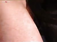 Hardcore animal porn with dog pussy