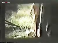 Beastiality porn film at the zoo