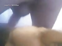 Webcam dog sex with matured gay