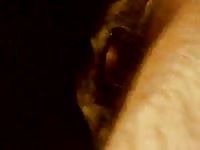 Beast tubes of dog getting fucked