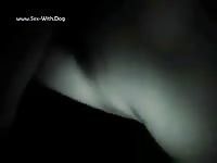 Hairy dog ass got banged on animal porn