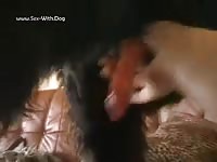 Gay jacking off a dog