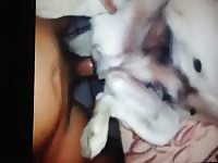 Beast tubes dog sucking a cock