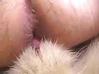Pet porn with furry dog and gay