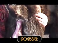 Dog getting dildoed by beastie gay