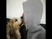 Human and animal sex with dog