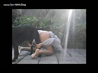 Public dog sex with teen beastiality lover