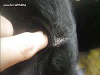 Beastie gal fingering a dog
