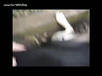 Dog on amateur beastiality sex