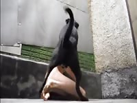 Young teen animal sex with his dog