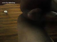 Gay enjoyed a blowjob from his dog