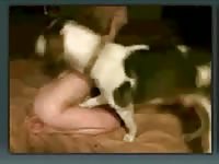 Skinny gay enjoyed a pet porn