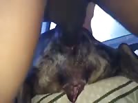 Ohknotty dude destroys pet's pussy