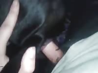 Dude does amateur beastiality with dog 