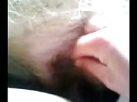 Fingering the dirty hole of a pig porn