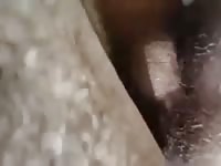 Farm sex with a huge lost animal