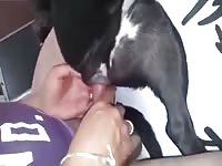 Beastie gal sucking a dog cock