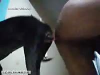 Ohknotty porn with gay and dog