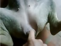 Beastiality lover fingering a dog