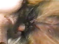 Amateur beastiality with furry dog