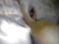 Furry pet porn with a horny man