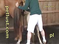 Zoo sex tv with horse and man