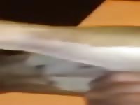 Messy dog sex with a gay whore