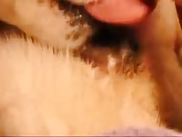 Furry dog zoopussy got played on by beastie gal