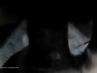 Amateur dog sex with gay man