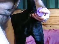 K9 dog getting played on by sex toys