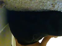 Animal sex fun with a pervert gay