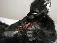 Dog xxx cosplayer masturbation