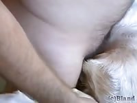 Gay beastiality stories fingering a dog's pussy