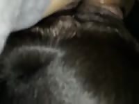 Black dog xxx getting fucked in the ass