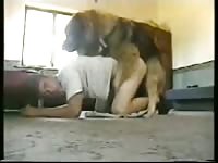 Homemade dog sex with young gay