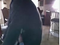 Webcam dog oral sex with teen boy