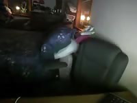 Dog porn tube on webcam with man