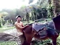 Zoo farm xxx man got caught fucking a horse